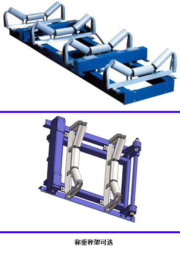 通用型電子皮帶秤
